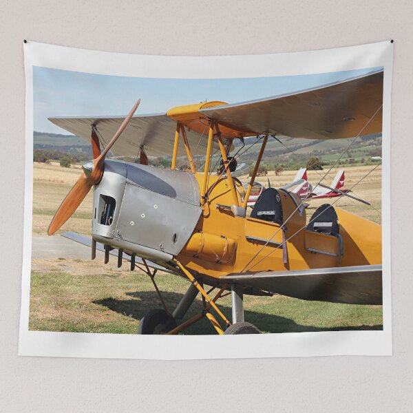 Item preview, Tiger Moth biplane aircraft designed and sold by FranWest.