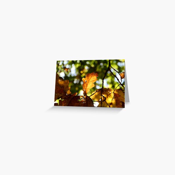 Item preview, Autumn oak leaf designed and sold by Susan Henry.