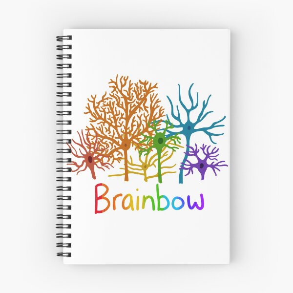 Item preview, Brainbow Neurons - Neuroscience designed and sold by BundaBear.