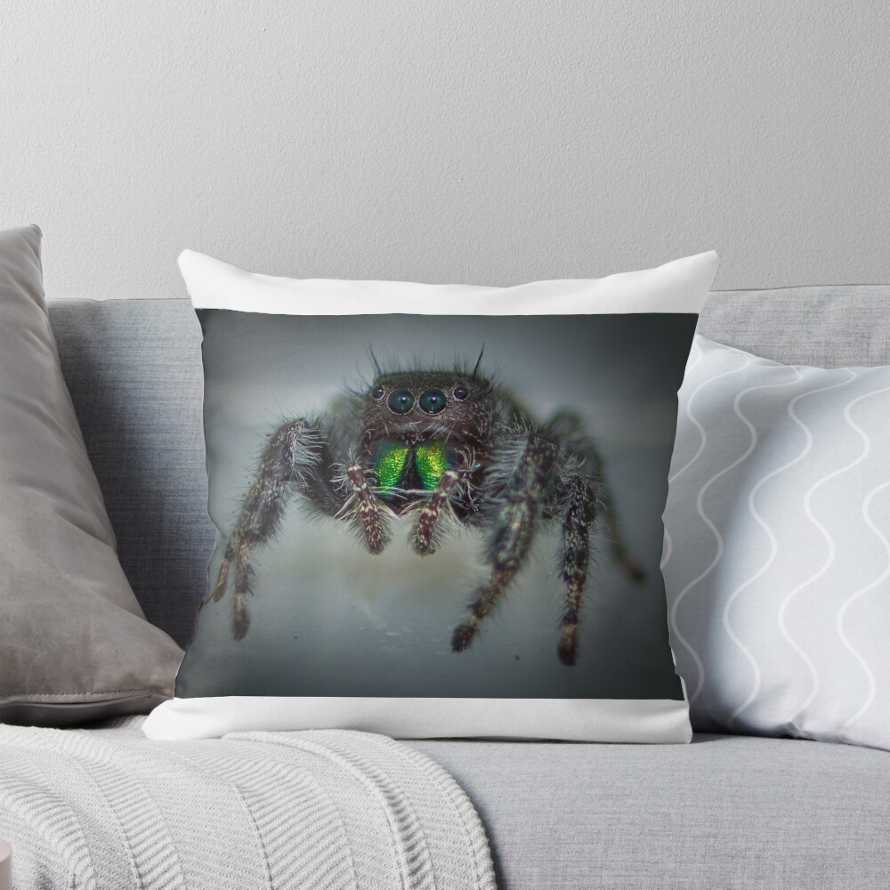 Item preview, Throw Pillow designed and sold by RandyHume.