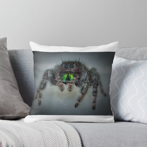 Item preview, Jumping Spider designed and sold by RandyHume.