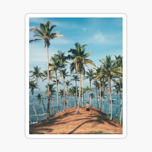 MAN STANDING ON BEACH AND PALM TREES Sticker