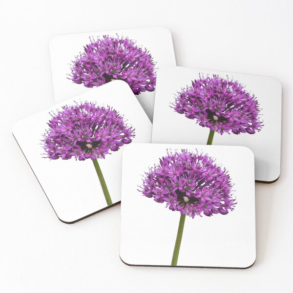 Item preview, Allium Haarlem Superglobe designed and sold by Frank  Irwin.