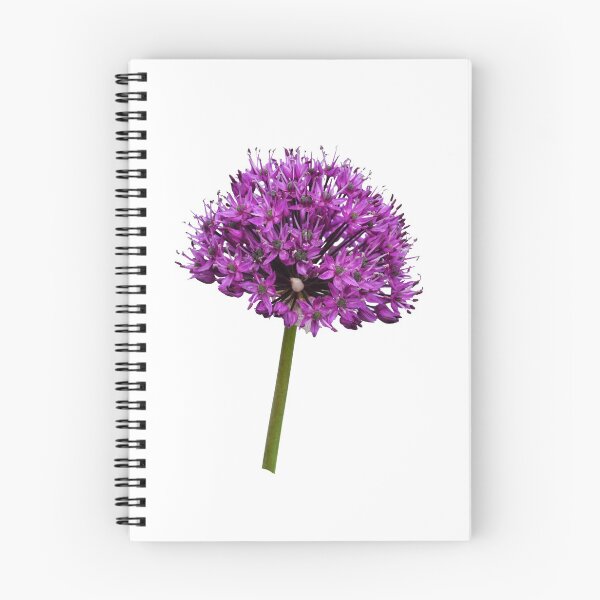 Item preview, Allium Haarlem Superglobe designed and sold by Frank  Irwin.