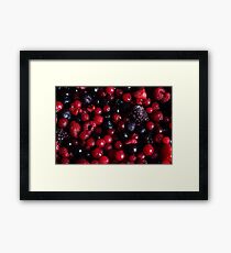 Red Fruit Framed Print