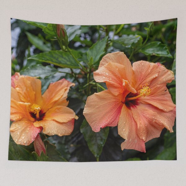 Item preview, Orange Hibiscus Flowers designed and sold by iCimages.net.