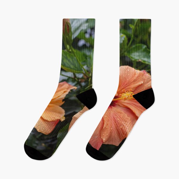 Item preview, Orange Hibiscus Flowers designed and sold by iCimages.net.