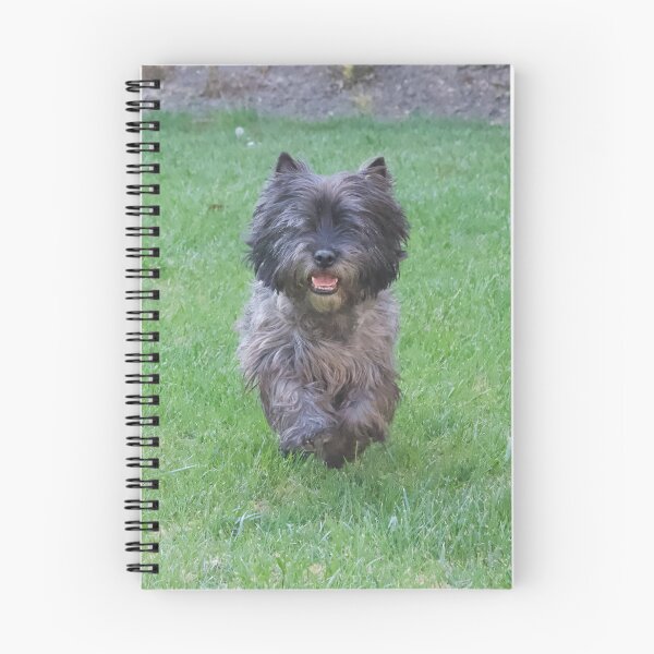 Artikelvorschau, Cairn Terrier läuft entworfen und verkauft von Astr13.