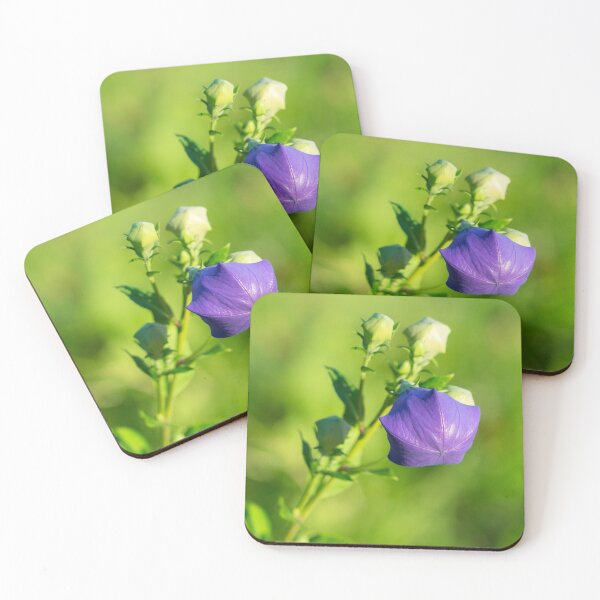Item preview, Purple Gem - Balloon Flower About to Bloom designed and sold by Georgia Mizuleva.