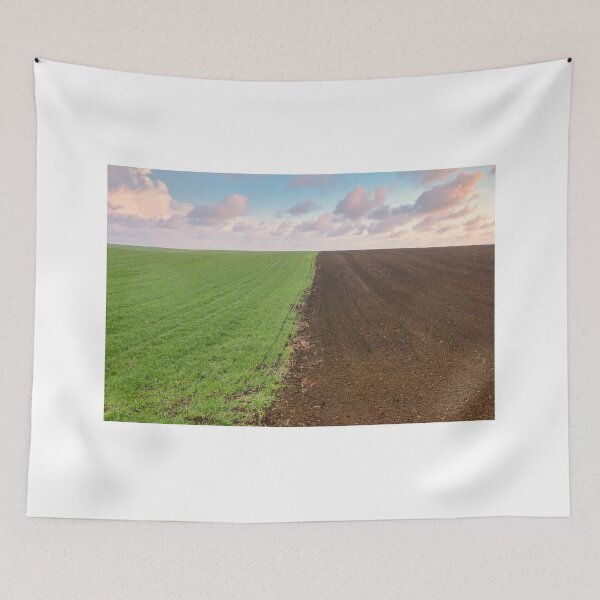 Item preview, young green wheat and plowed field landscape in springtime agriculture designed and sold by goceris.