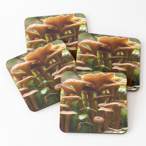 Item preview, Trumpet Chanterelle family portrait designed and sold by Jouko Lehto Photography.