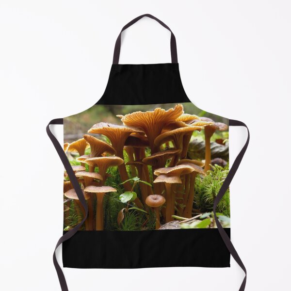 Item preview, Trumpet Chanterelle family portrait designed and sold by Jouko Lehto Photography.