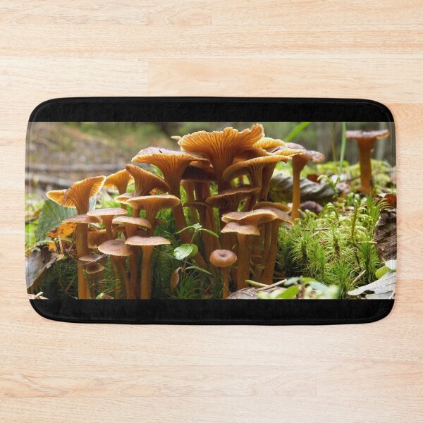Item preview, Trumpet Chanterelle family portrait designed and sold by Jouko Lehto Photography.