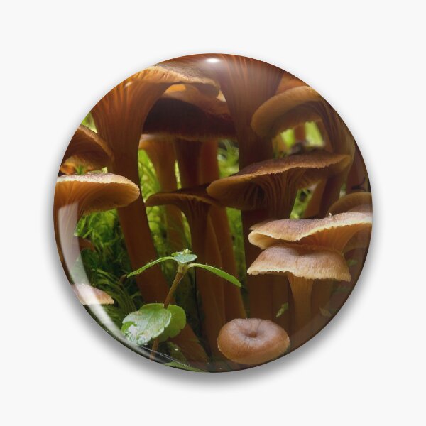 Item preview, Trumpet Chanterelle family portrait designed and sold by Jouko Lehto Photography.