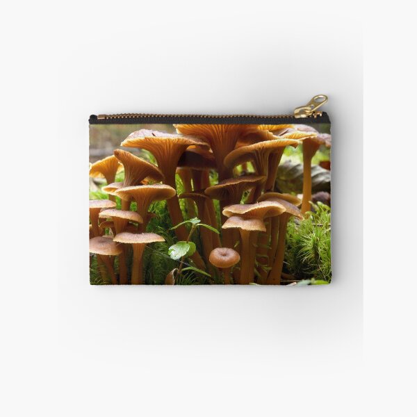 Item preview, Trumpet Chanterelle family portrait designed and sold by Jouko Lehto Photography.