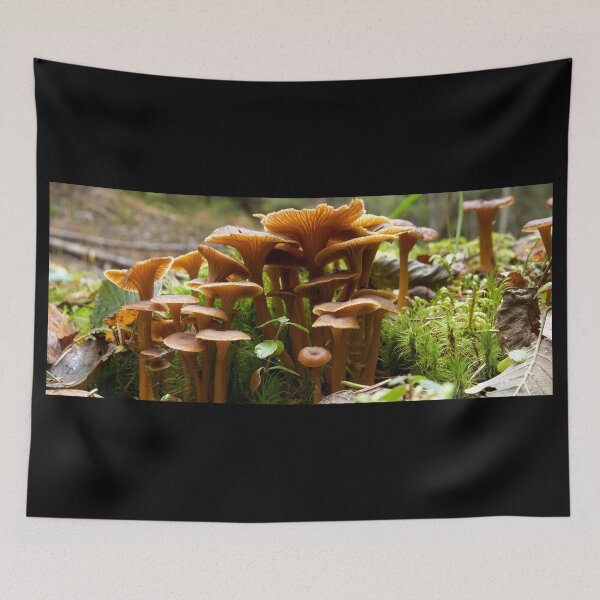 Item preview, Trumpet Chanterelle family portrait designed and sold by Jouko Lehto Photography.
