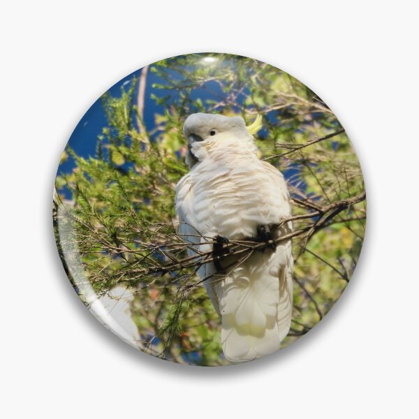 Item preview, Cockatoos at breakfast time designed and sold by Susan Henry.