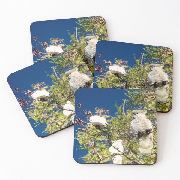 Item preview, Cockatoos at breakfast time designed and sold by Susan Henry.
