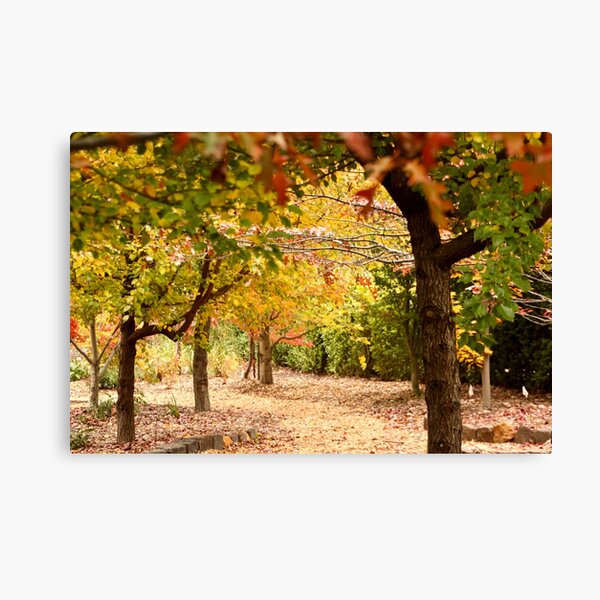 Item preview, Golden Autumn canopy, Viewfield designed and sold by Susan Henry.
