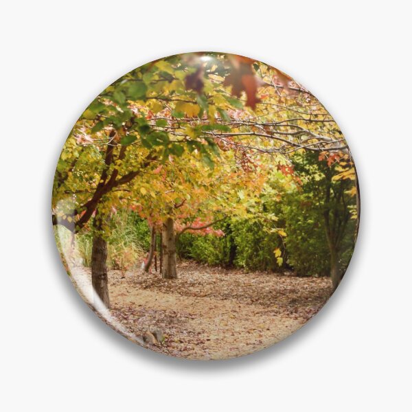 Item preview, Through Viewfield's Autumn garden designed and sold by Susan Henry.