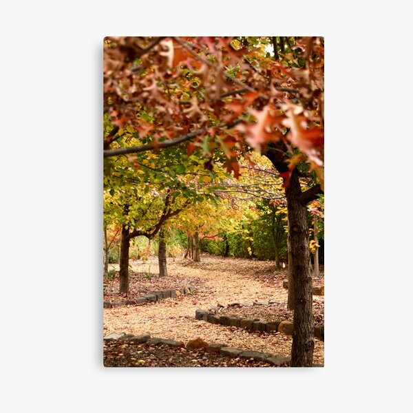 Item preview, Through Viewfield's Autumn garden designed and sold by Susan Henry.