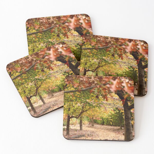 Item preview, Through Viewfield's Autumn garden designed and sold by Susan Henry.