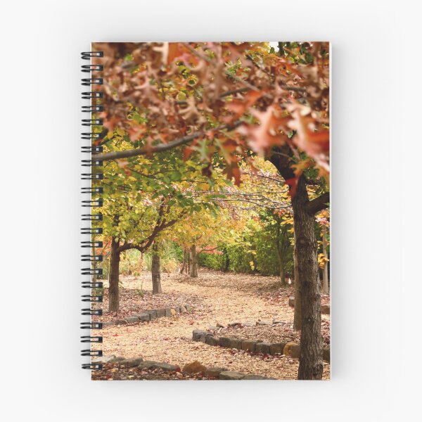 Item preview, Through Viewfield's Autumn garden designed and sold by Susan Henry.
