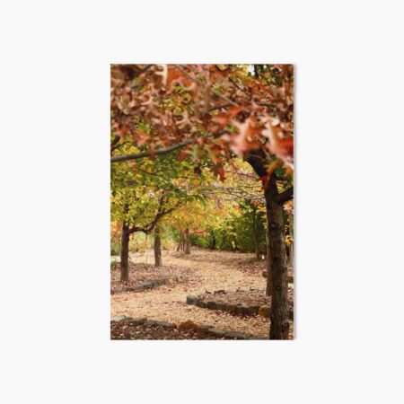 Item preview, Through Viewfield's Autumn garden designed and sold by Susan Henry.
