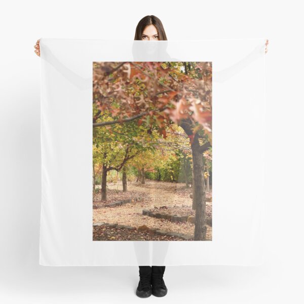 Item preview, Through Viewfield's Autumn garden designed and sold by Susan Henry.