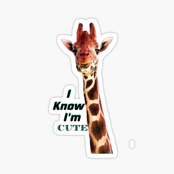 I'm Cute Giraffe Sticker