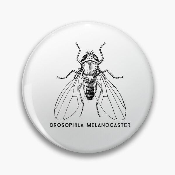 Item preview, Drosophila Melanogaster Fruit fly for scientists designed and sold by walrusindustrie.