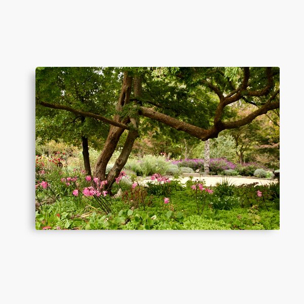 Item preview, Shady ladies, Viewfield designed and sold by Susan Henry.