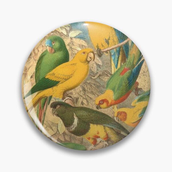 Item preview, Colorful parrots vintage style designed and sold by Zanimations.
