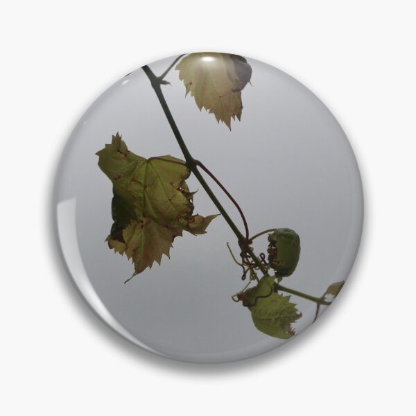 Item preview, Winding vine at Viewfield designed and sold by Susan Henry.