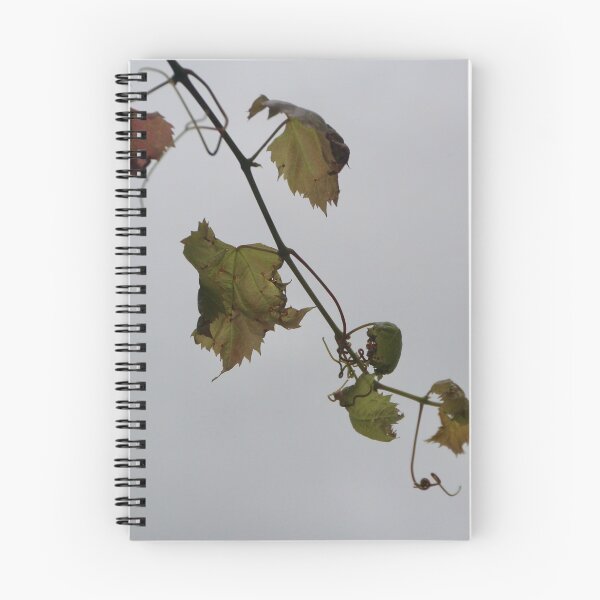 Item preview, Winding vine at Viewfield designed and sold by Susan Henry.