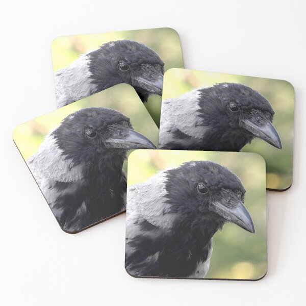 Item preview, Raven bird designed and sold by Babbler01.
