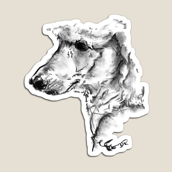 Poodle Drawing Magnet