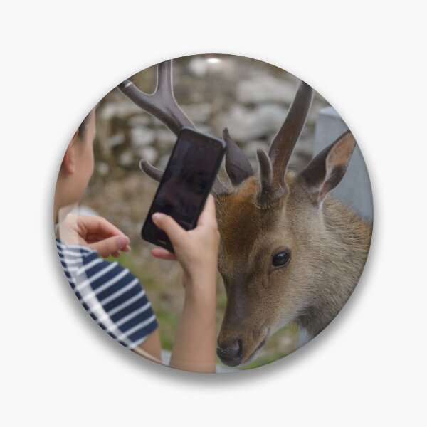Item preview, The girl taking picture of friendly deer on the Irish Graveyard of Muckross Abbey in Killarney National Park, near the town of Killarney, County Kerry, Ireland designed and sold by AlbertMi.