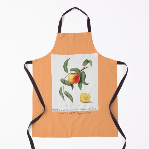 Item preview, Peach Prunus persica from Pomona Italiana Giorgio Gallesio Design designed and sold by EarthArtDesigns.