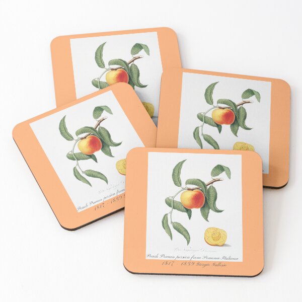 Item preview, Peach Prunus persica from Pomona Italiana Giorgio Gallesio Design designed and sold by EarthArtDesigns.