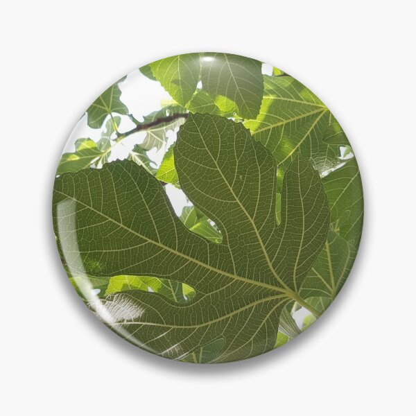 Item preview, Fig leaves photography designed and sold by orangerinka.