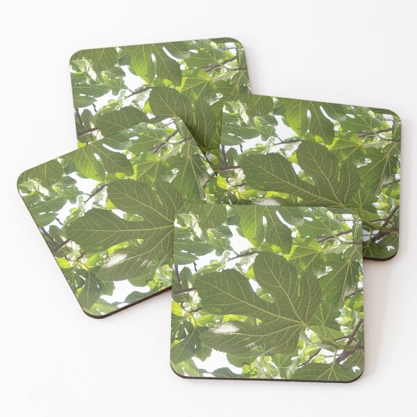 Item preview, Fig leaves photography designed and sold by orangerinka.