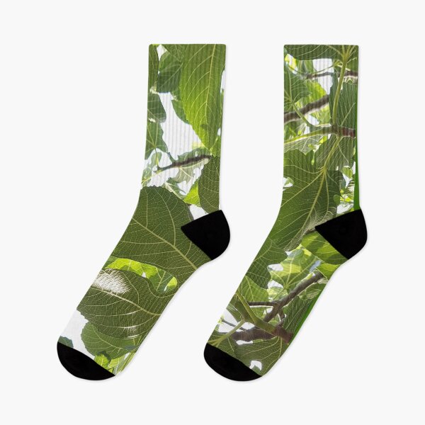 Item preview, Fig leaves photography designed and sold by orangerinka.