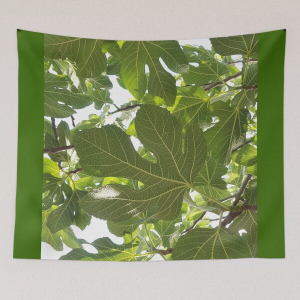 Item preview, Fig leaves photography designed and sold by orangerinka.