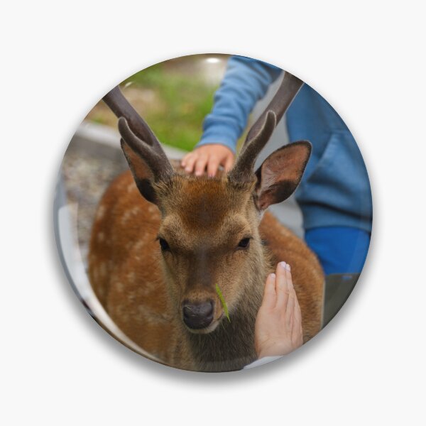 Item preview, The child and friendly young deer on the Irish Graveyard of Muckross Abbey in Killarney National Park designed and sold by AlbertMi.