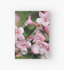 Playful Pinks Hardcover Journal