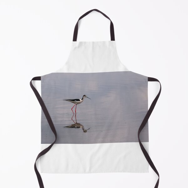 Item preview, Black winged stilt designed and sold by pietrofoto.