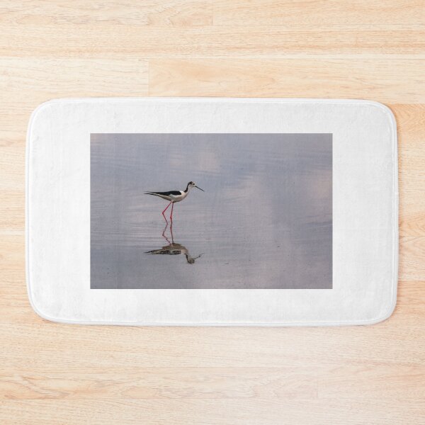 Item preview, Black winged stilt designed and sold by pietrofoto.
