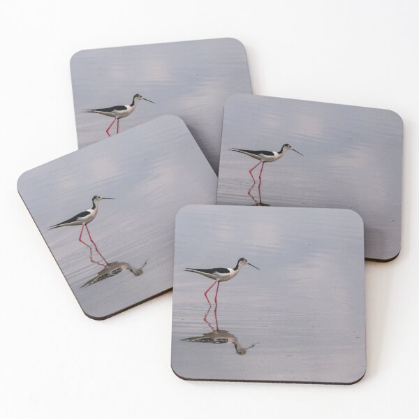 Item preview, Black winged stilt designed and sold by pietrofoto.