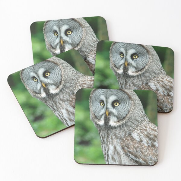 Item preview, Great grey owl designed and sold by woolleyfir.